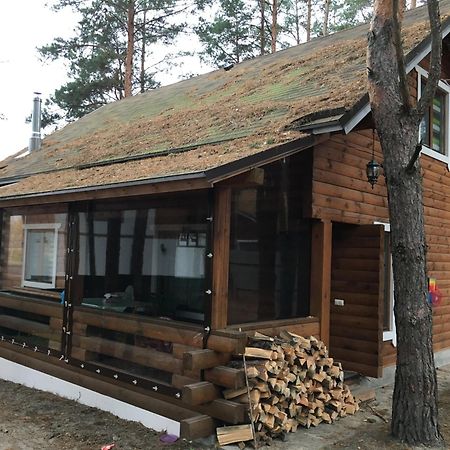 Voropayev Ekodom 빌라 외부 사진
